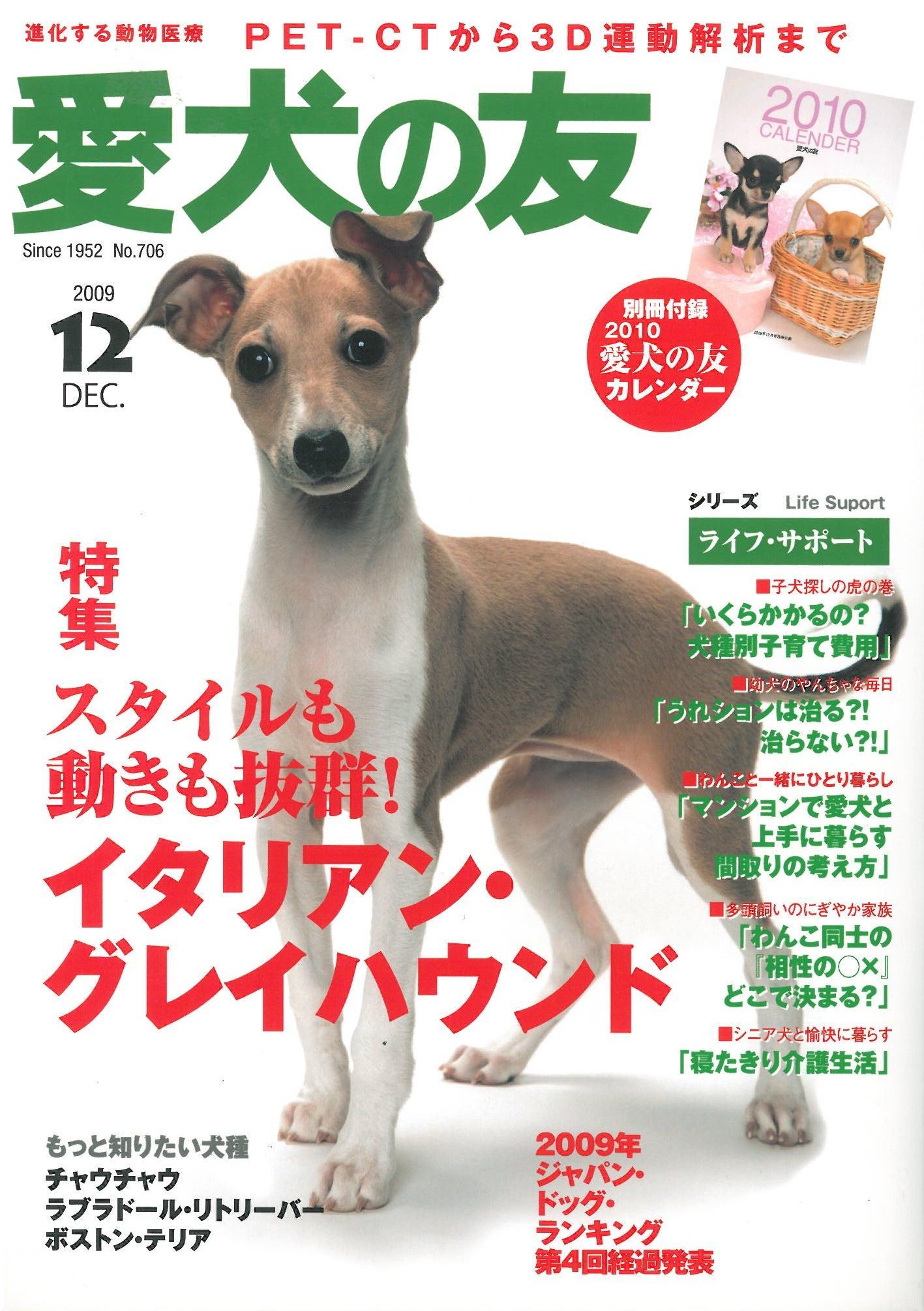 ＰＥ・ＣＨＡ（ペチャ）　ＶＯＬ.７　2010.7