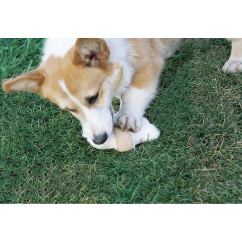 知育トイ(リングボーン)